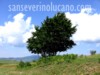 San Severino Lucano