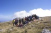 Leonardo Viceconte Guida ufficiale del parco nazionale del Pollino