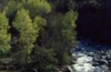 Leonardo Viceconte Guida ufficiale del parco nazionale del Pollino