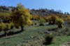 Leonardo Viceconte Guida ufficiale del parco nazionale del Pollino