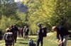 Leonardo Viceconte Guida ufficiale del parco nazionale del Pollino