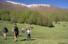 Leonardo Viceconte Guida ufficiale del parco nazionale del Pollino