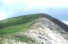Leonardo Viceconte Guida ufficiale del parco nazionale del Pollino