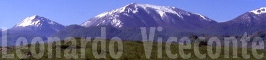 Leonardo Viceconte Guida ufficiale del parco Nazionale del Pollino San Severino Lucano Basilicata Bosco Magnano Pino Loricato