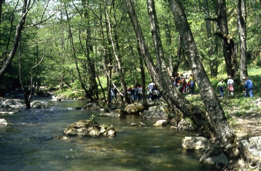 Leonardo Viceconte Guida ufficiale del parco nazionale del Pollino