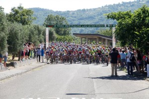 marathon_scanderberg
