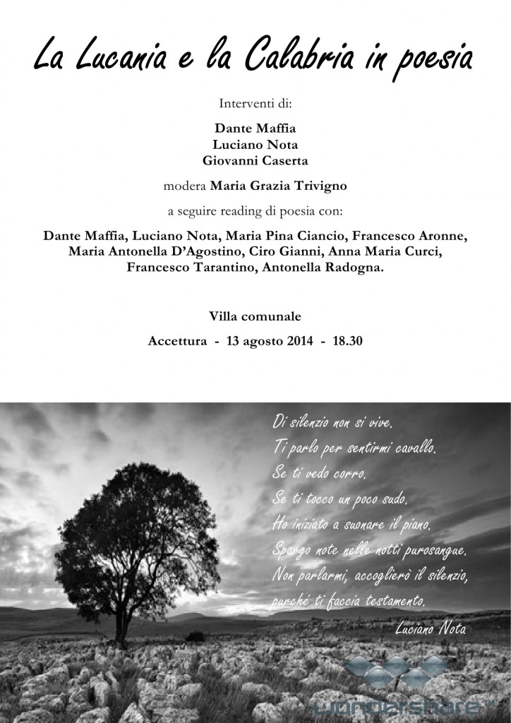 locandina, accettura 2014