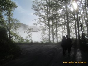 nebbia 2