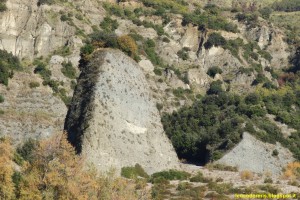 DSCN1152