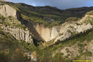 DSCN1188
