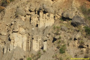 DSCN1191