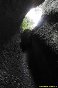 DSCN1214