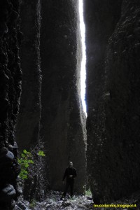 DSCN1217