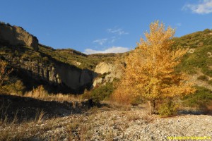 DSCN1231